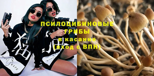 соль ск Балабаново