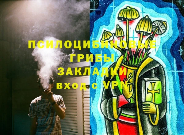 соль ск Балабаново