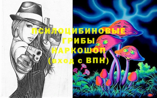 СК Балахна