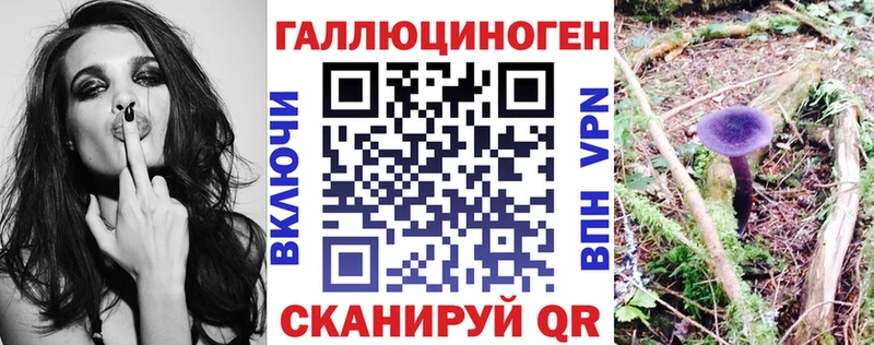 Галлюциногенные грибы MAGIC MUSHROOMS  Хвалынск 